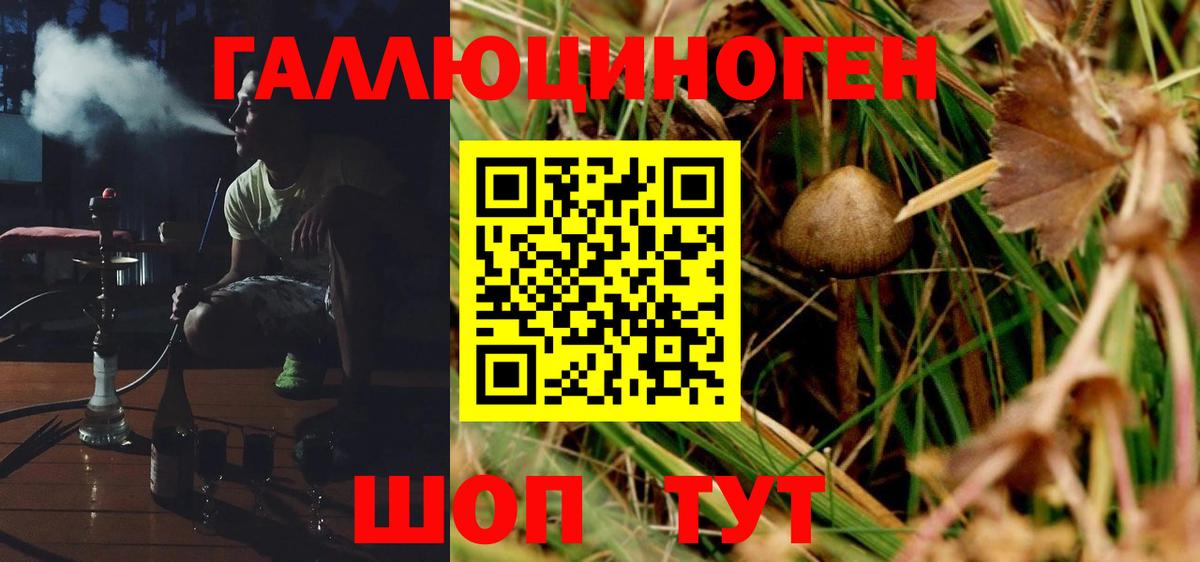Камышин  Галлюциногенные грибы мицелий  Галлюциногенные грибы MAGIC MUSHROOMS  Вход с VPN 