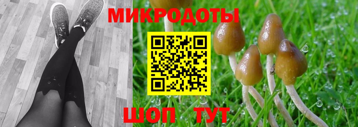 Галлюциногенные грибы прущие грибы Камышин